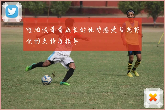 哈珀谈哥哥成长的独特感受与老将们的支持与指导