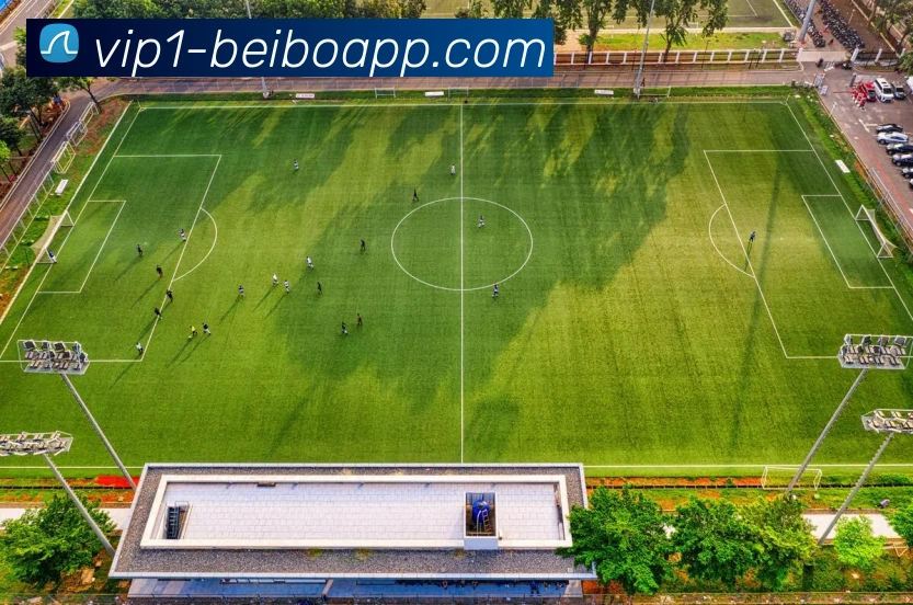 平台使命图